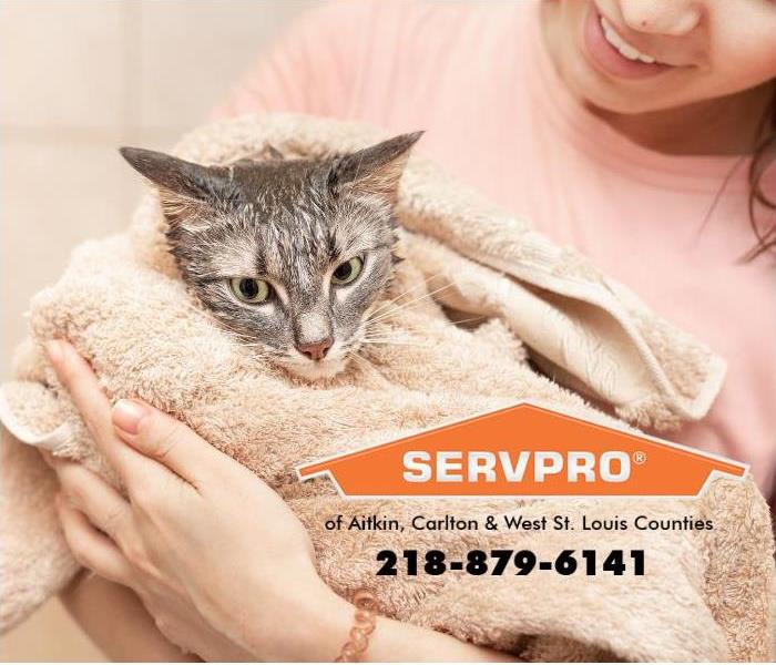 A cat is being held in a towel. 