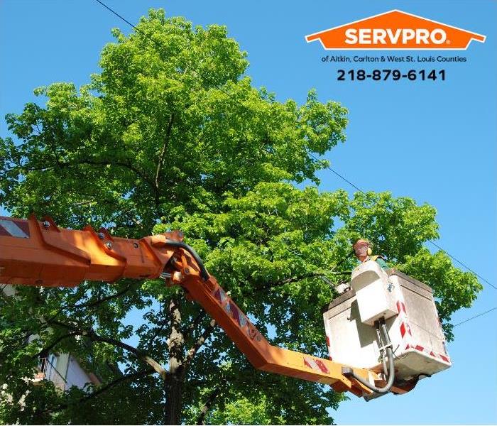 A professional tree trimming company is working on a tree close to a building and powerlines.