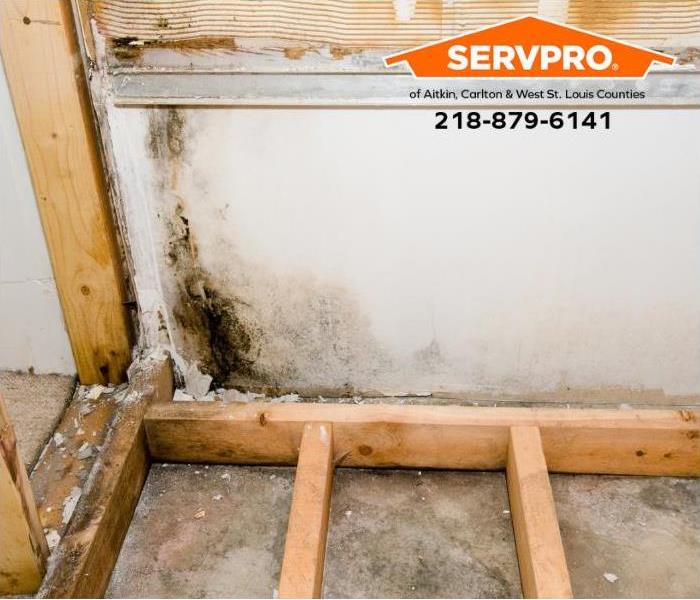 Mold grows as a result of a water leak.