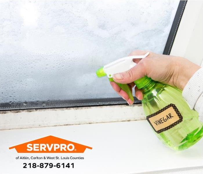 A person cleans around a damp window to prevent mold growth.