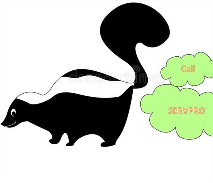 Let SERVPRO come to your Rescue!